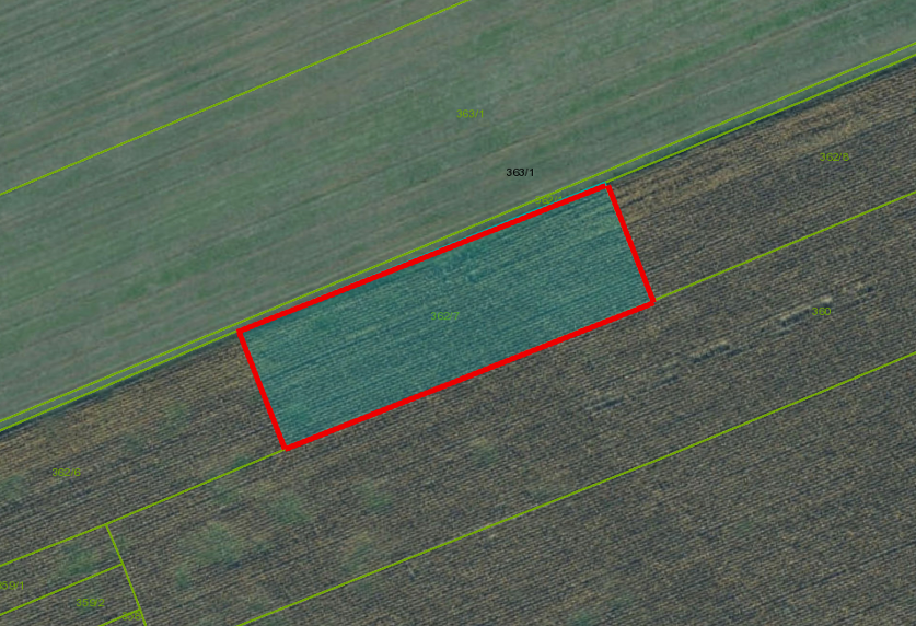 Košúty – 619 m2 ORNÁ PÔDA – Na predaj - 2