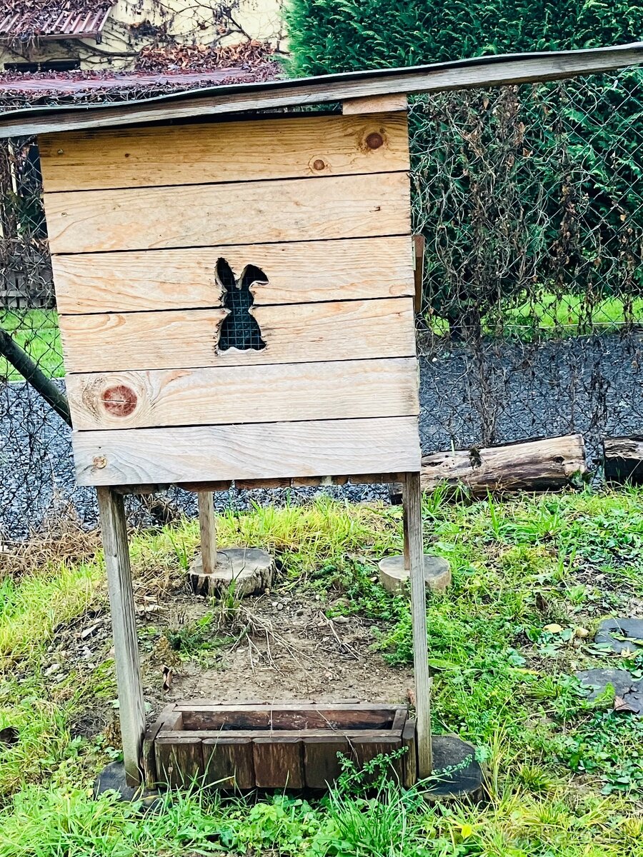 Predam kralikaren - 2