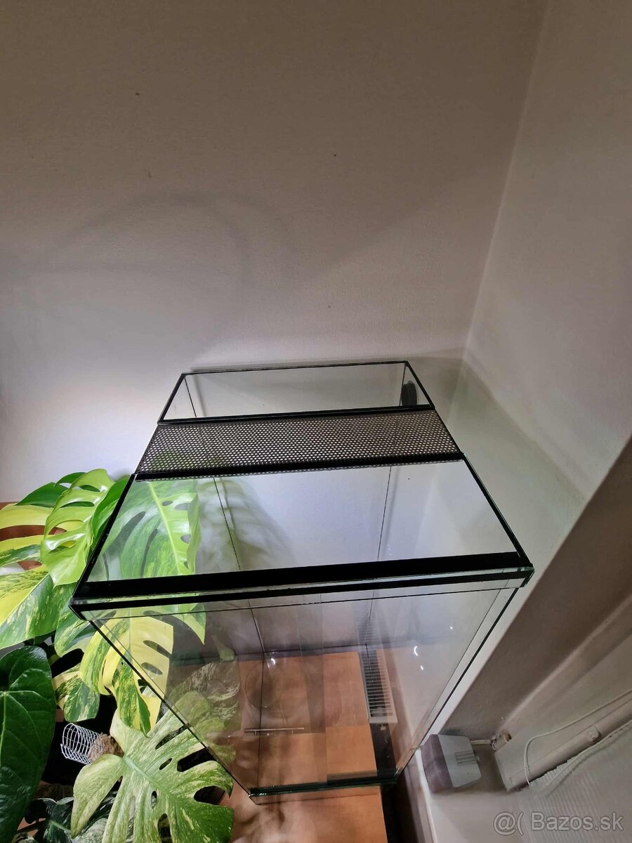 Terárium , paludárium - 2