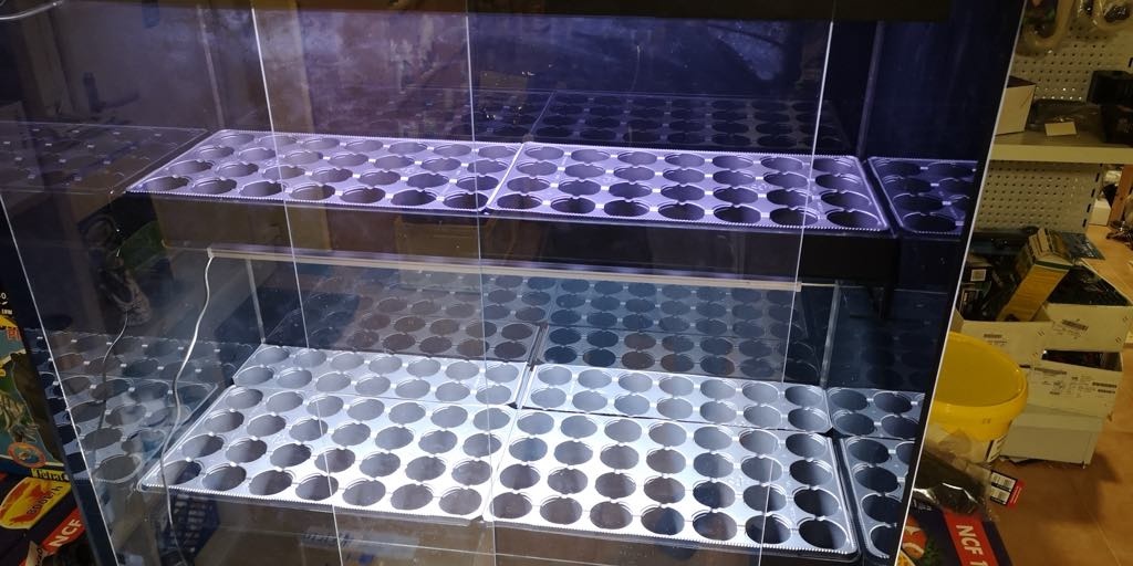 paludarium na pestovanie rastlin s akvariom - 2