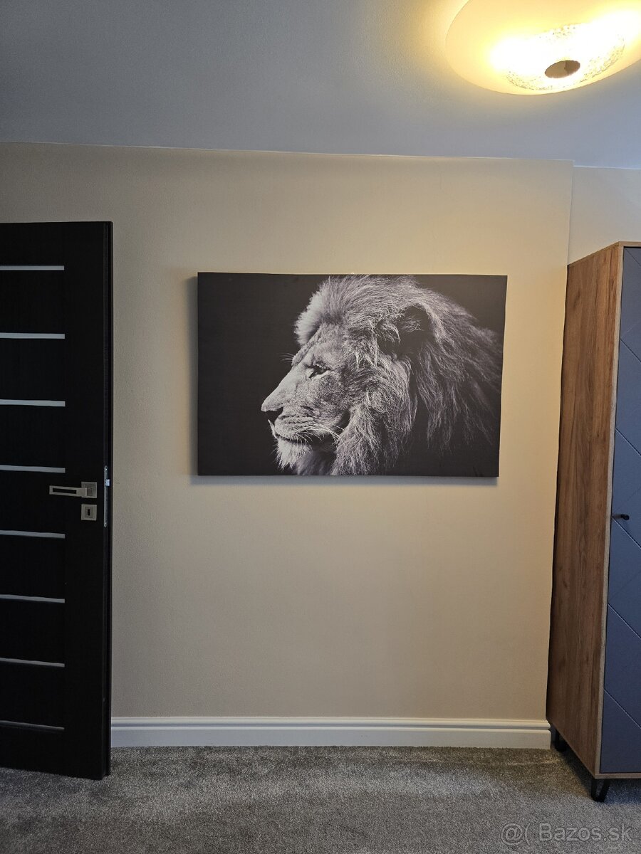 Velky obraz lev - 2