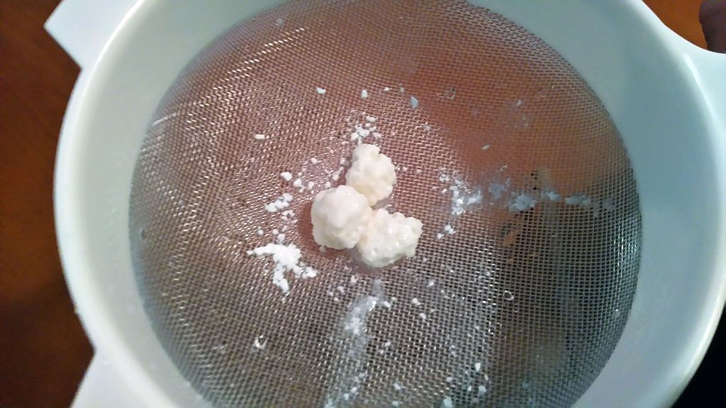 Tibetská huba - kefírové zrná - 2