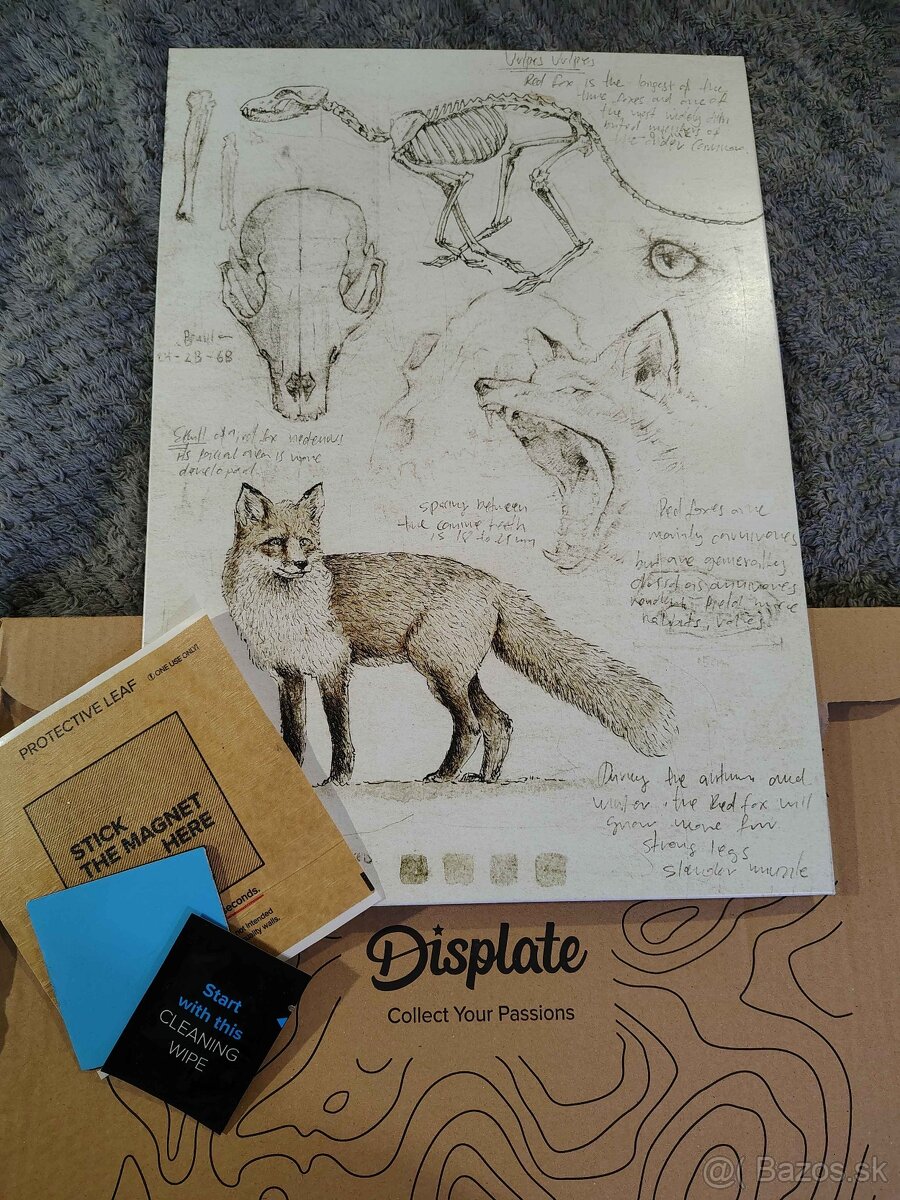 Displate matte- líška (fox anatomy) - 2