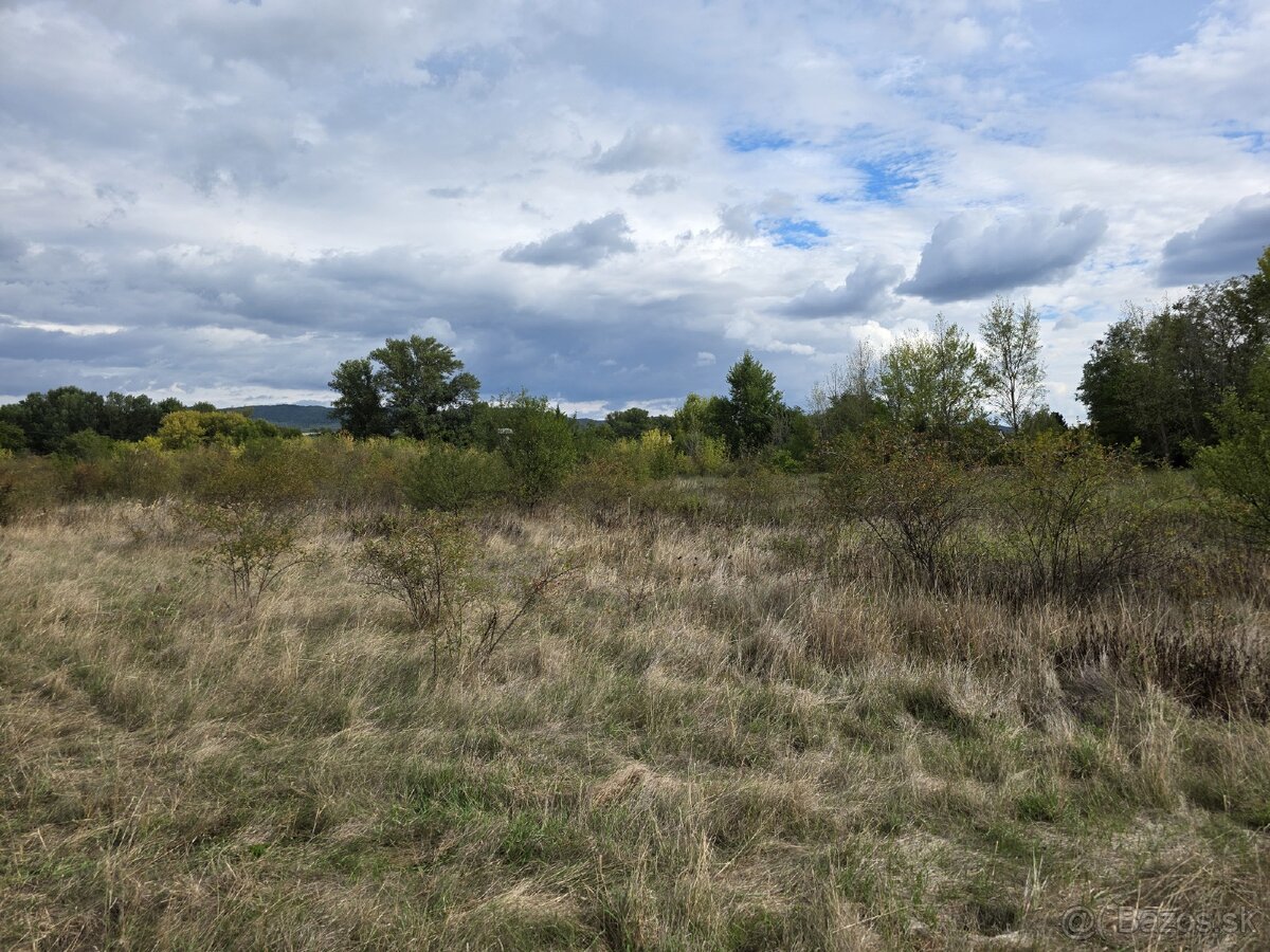 Pozemok Piešťany 5628m2 - 2