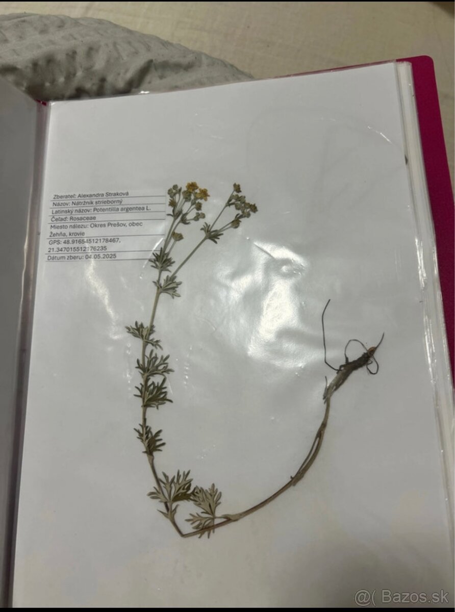 Herbár - 2