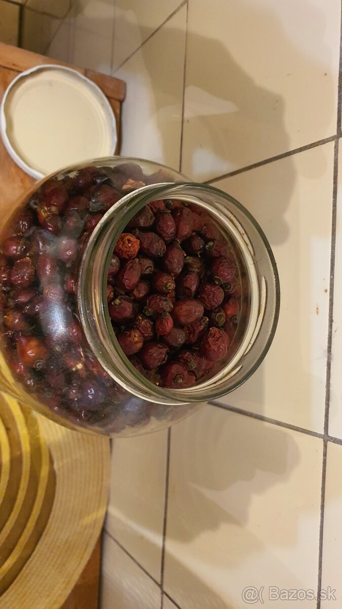 Sušené šípky - 2