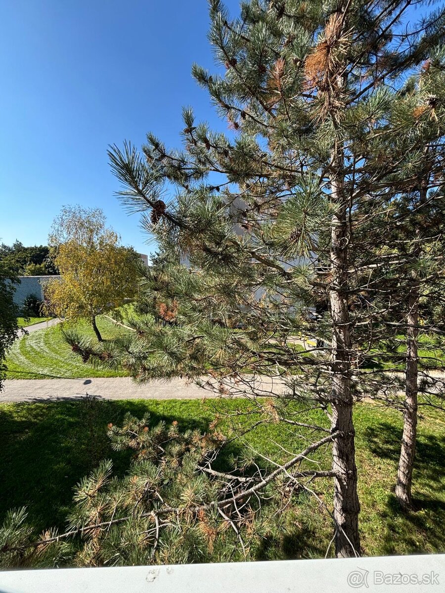 Prenájom 2-izbový byt - 2