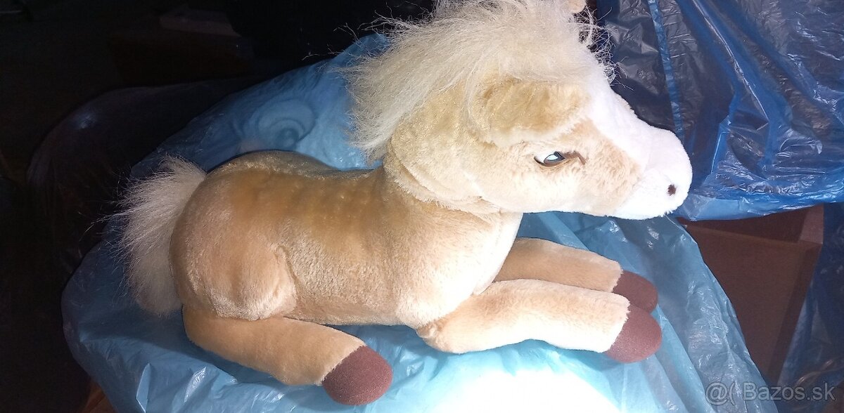 Pes malý a veľký a konik - 2