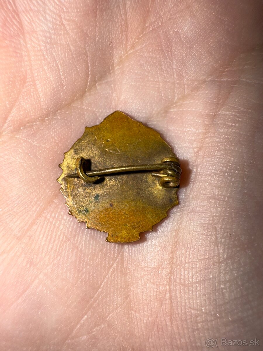 Za tu našu autonómiu odznak - 2