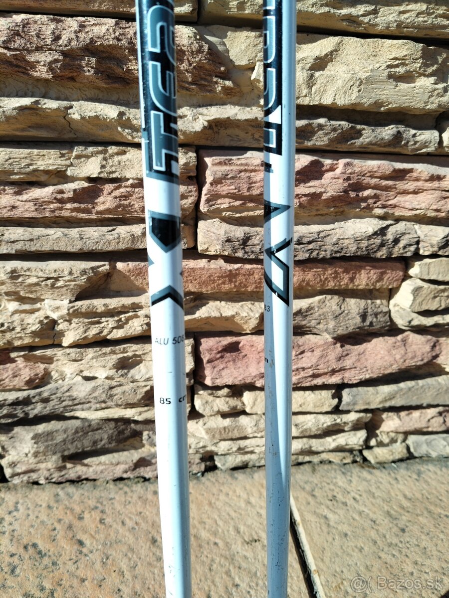 Predám lyžiarske palice - 2