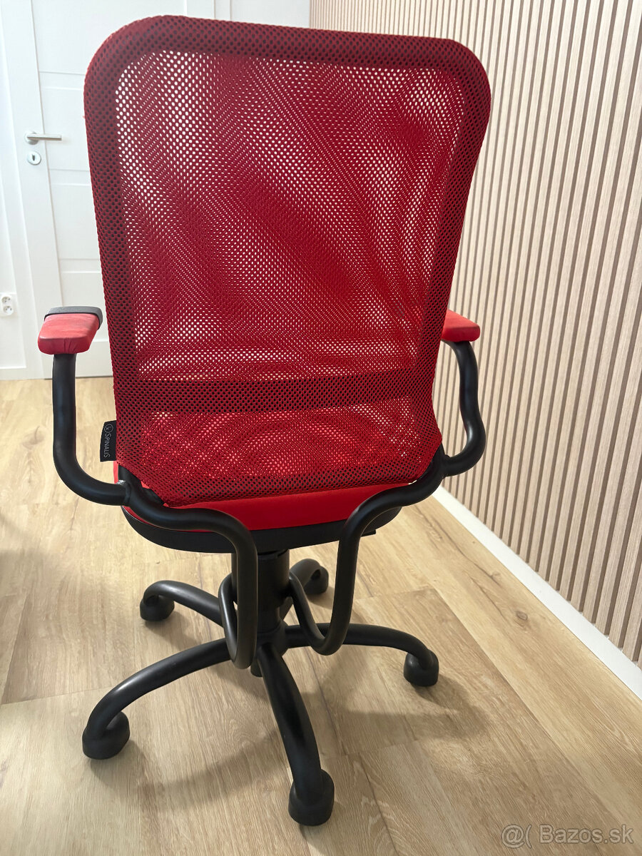 Stolicka Spinalis - 2