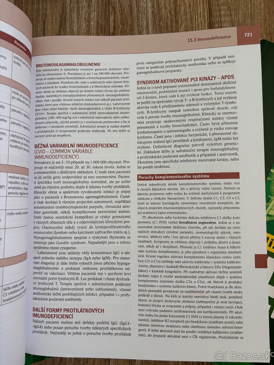 Interna Richard Češka - 2