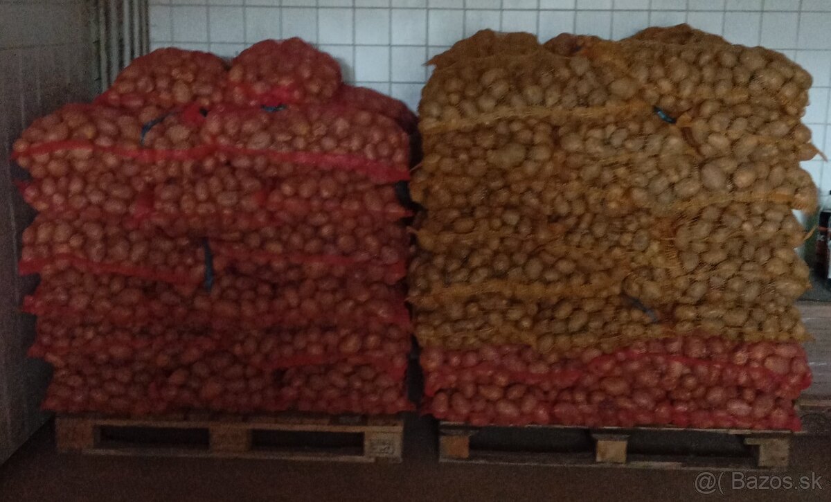 Predám konzumne zemiaky Soraya/Vega - 2