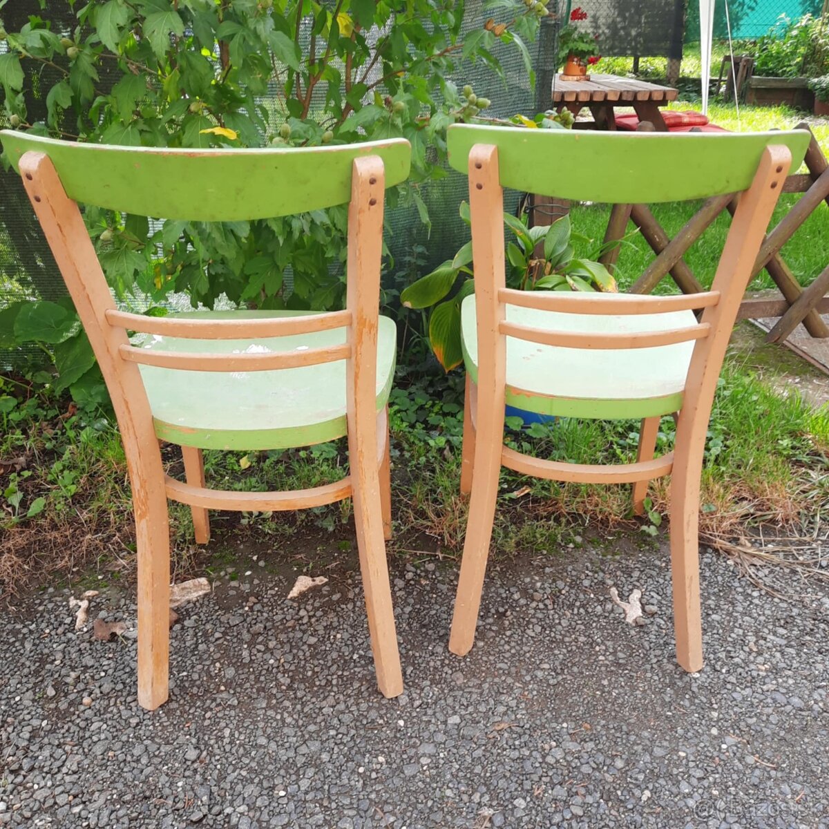 Predám stoličky masívne 2ks - 2
