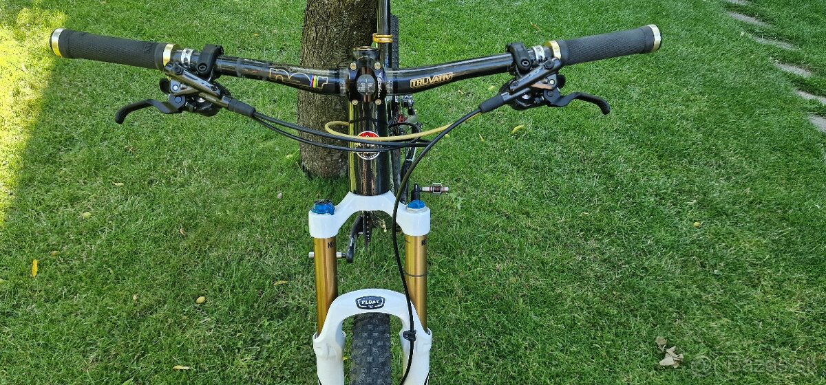 Rocky Mountain Element - 2