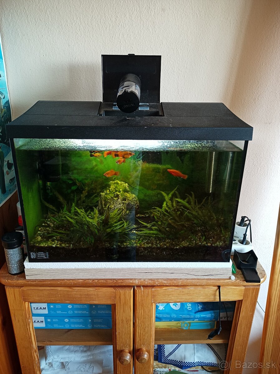 Predám akvárium 70 l s rybyčkami - 2
