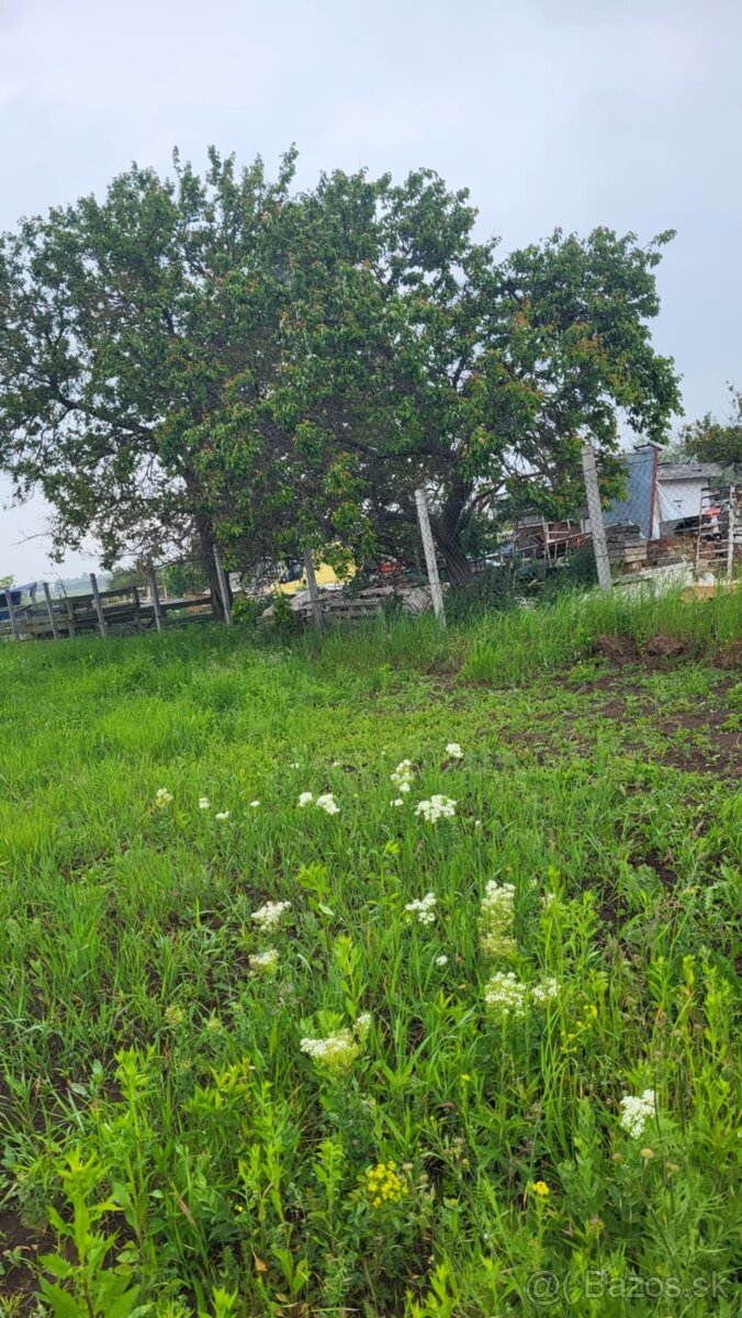 Na predaj investičný pozemok Štúrovo - 2