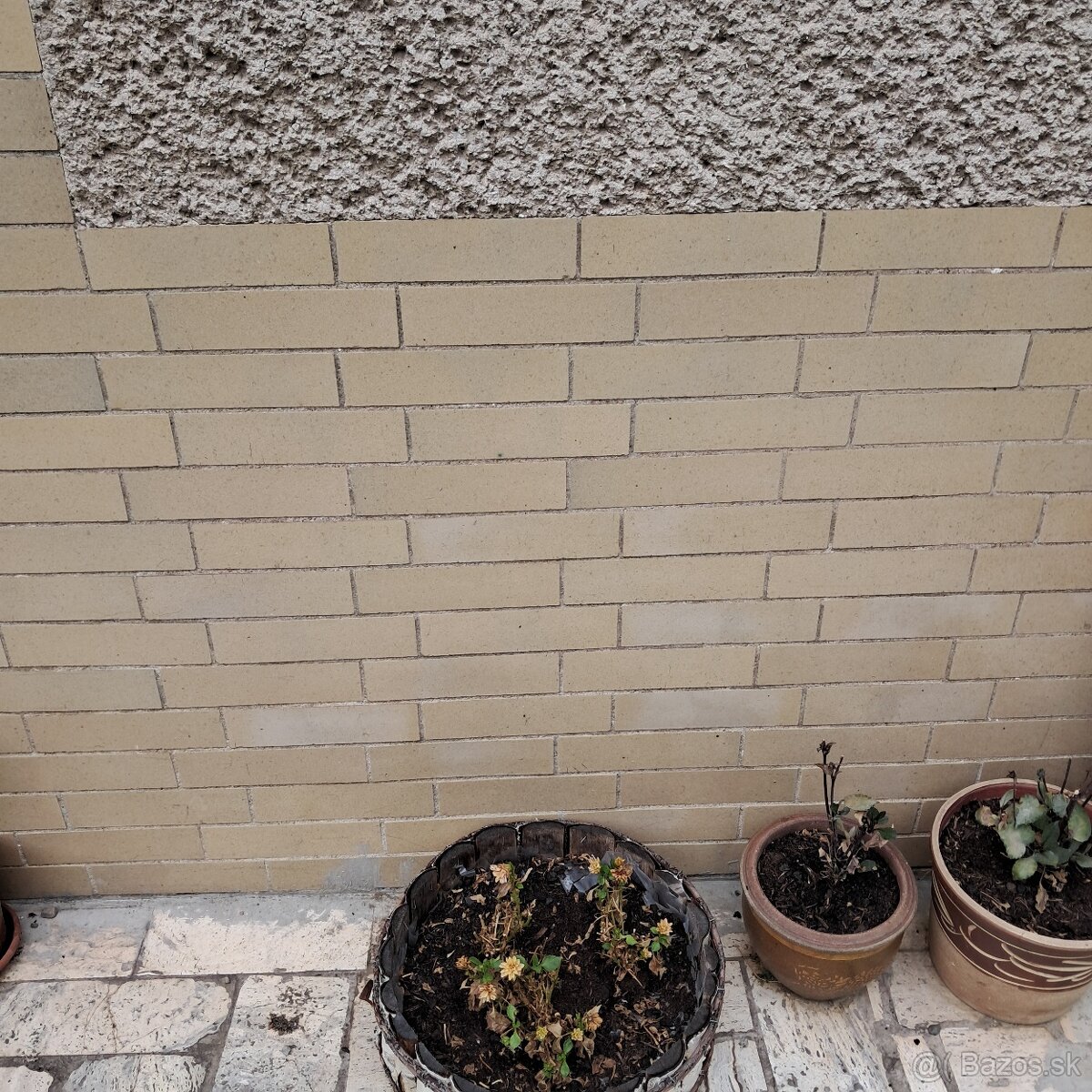 Retro dlažba – okrovo-zlatá farba - lesklá - 0,30€ za ks - 2