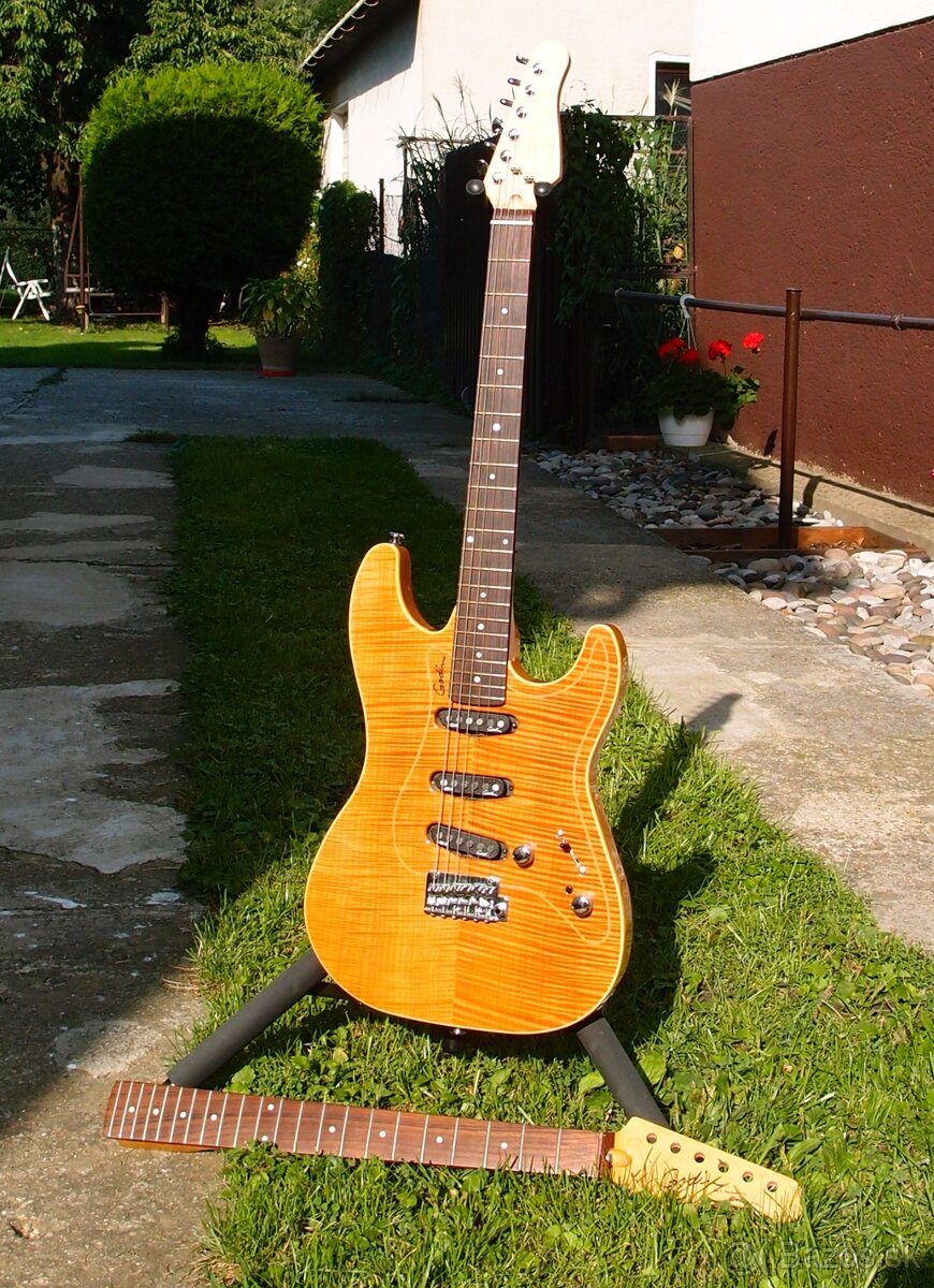 Godin Passion RG3 /// made in Canada /// + druhý krk - 2