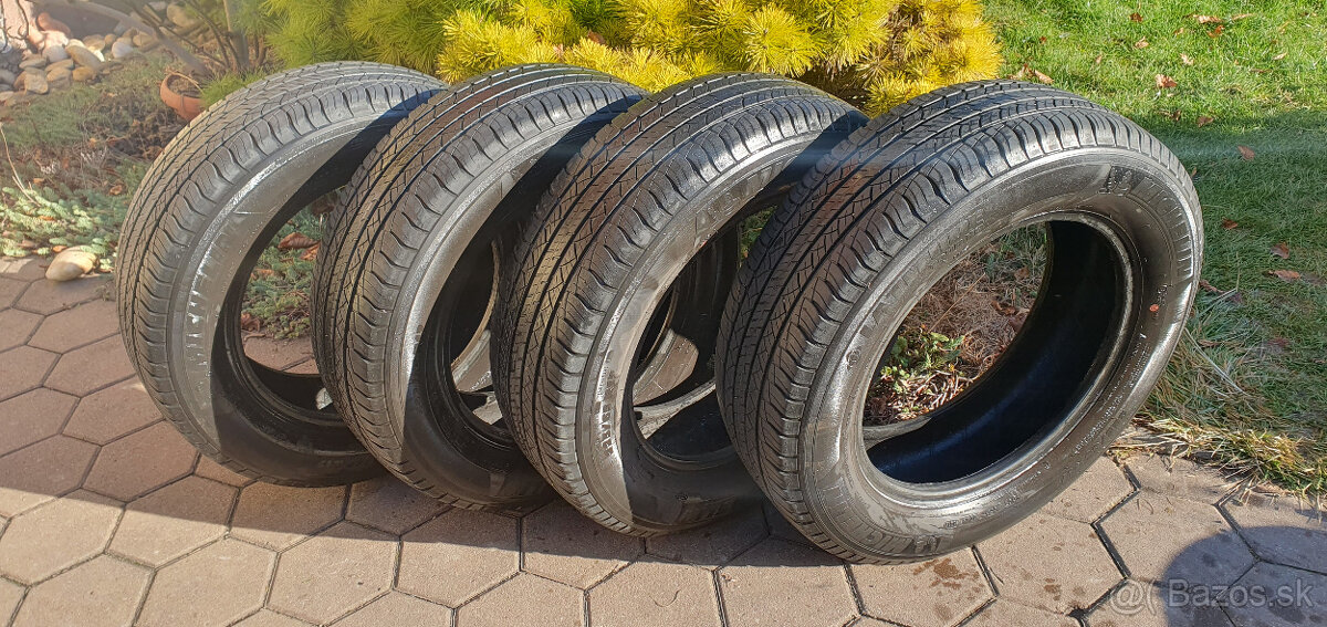 MICHELIN LATITUDE, LETNE, 225/65 R17, 102H - 2