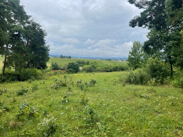 pozemok v obci Kevice - 2