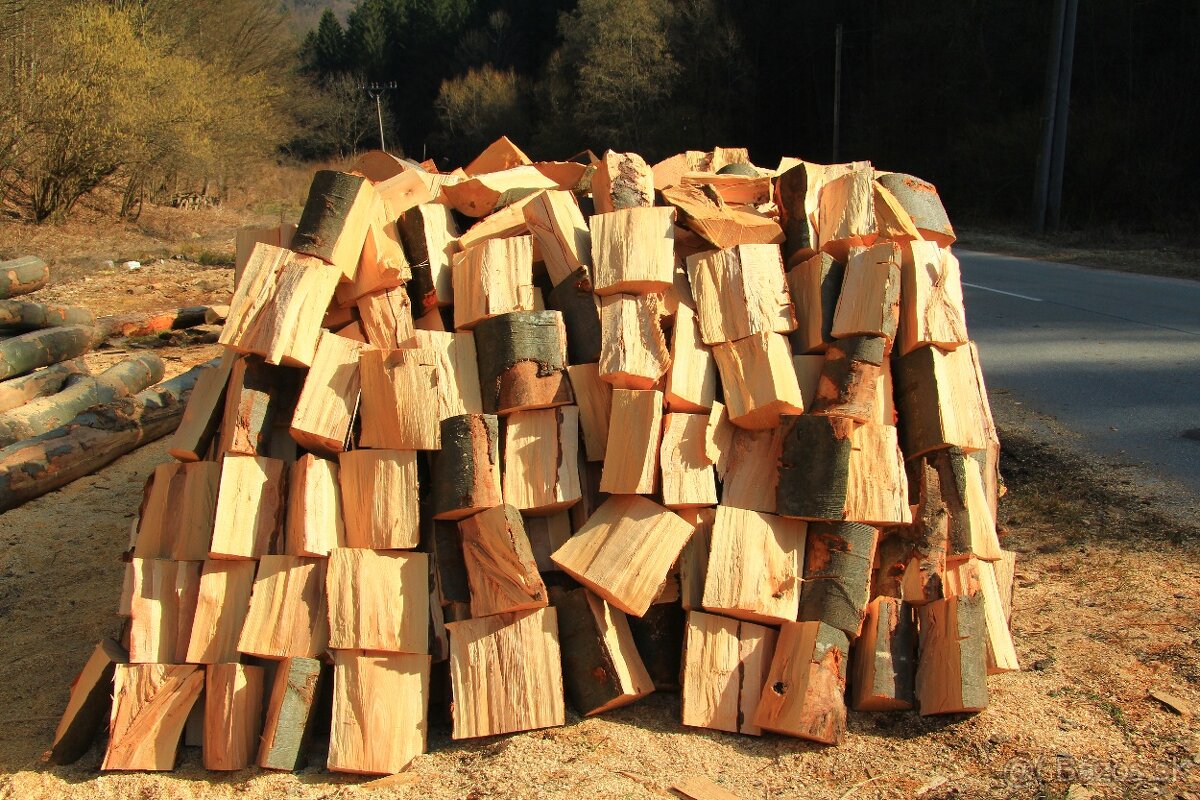 PALIVOVE DREVO BUK - 2