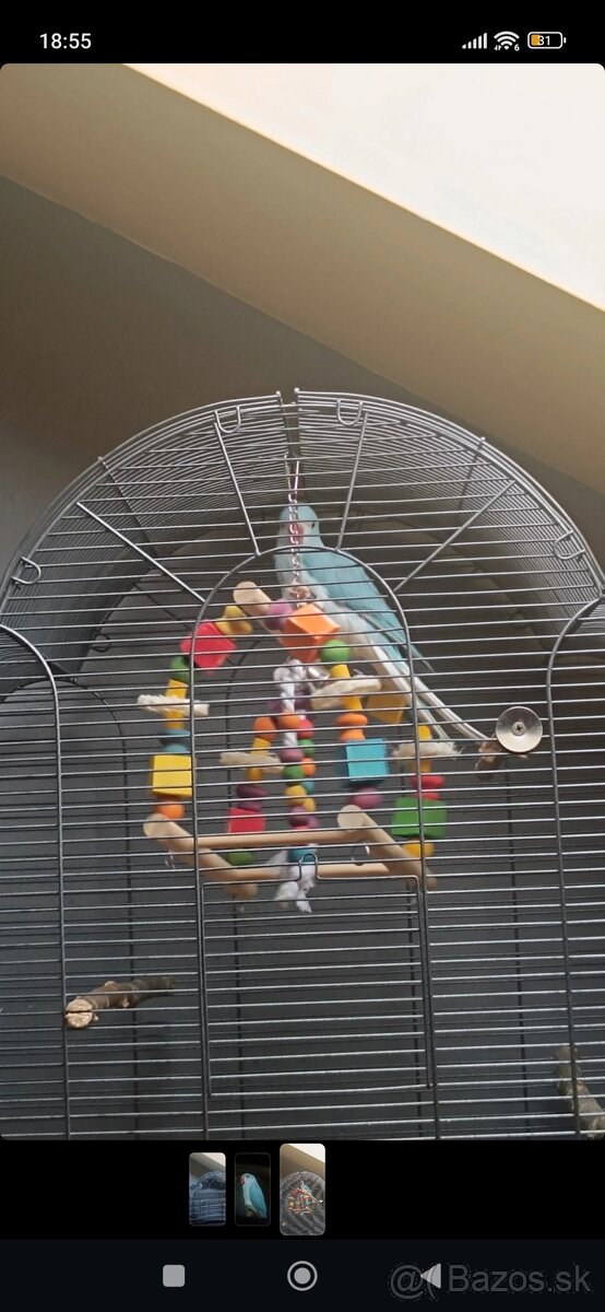 Alexander malý aj s veľkou klietkou - 2