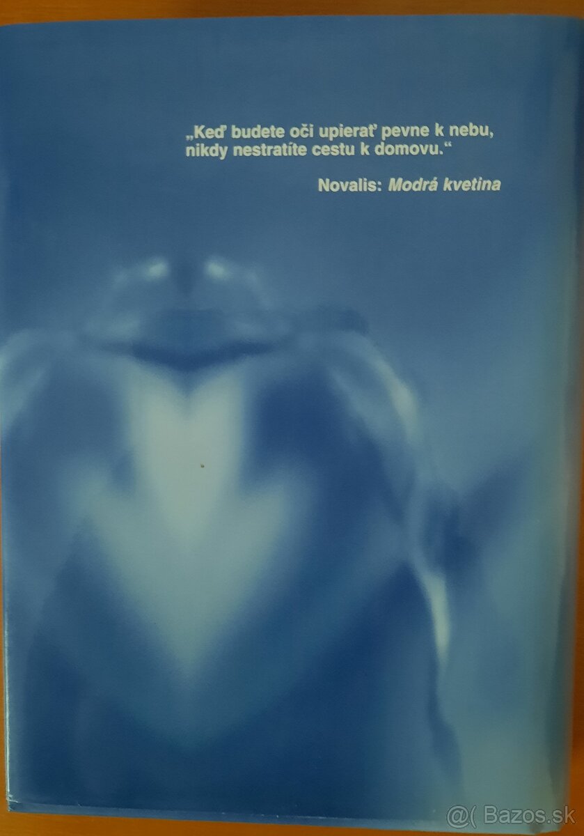 Modrá kvetina od Novalis - 2