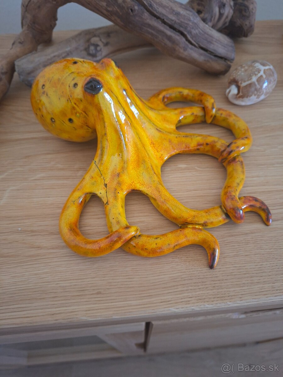 Keramicka chobotnica - 2