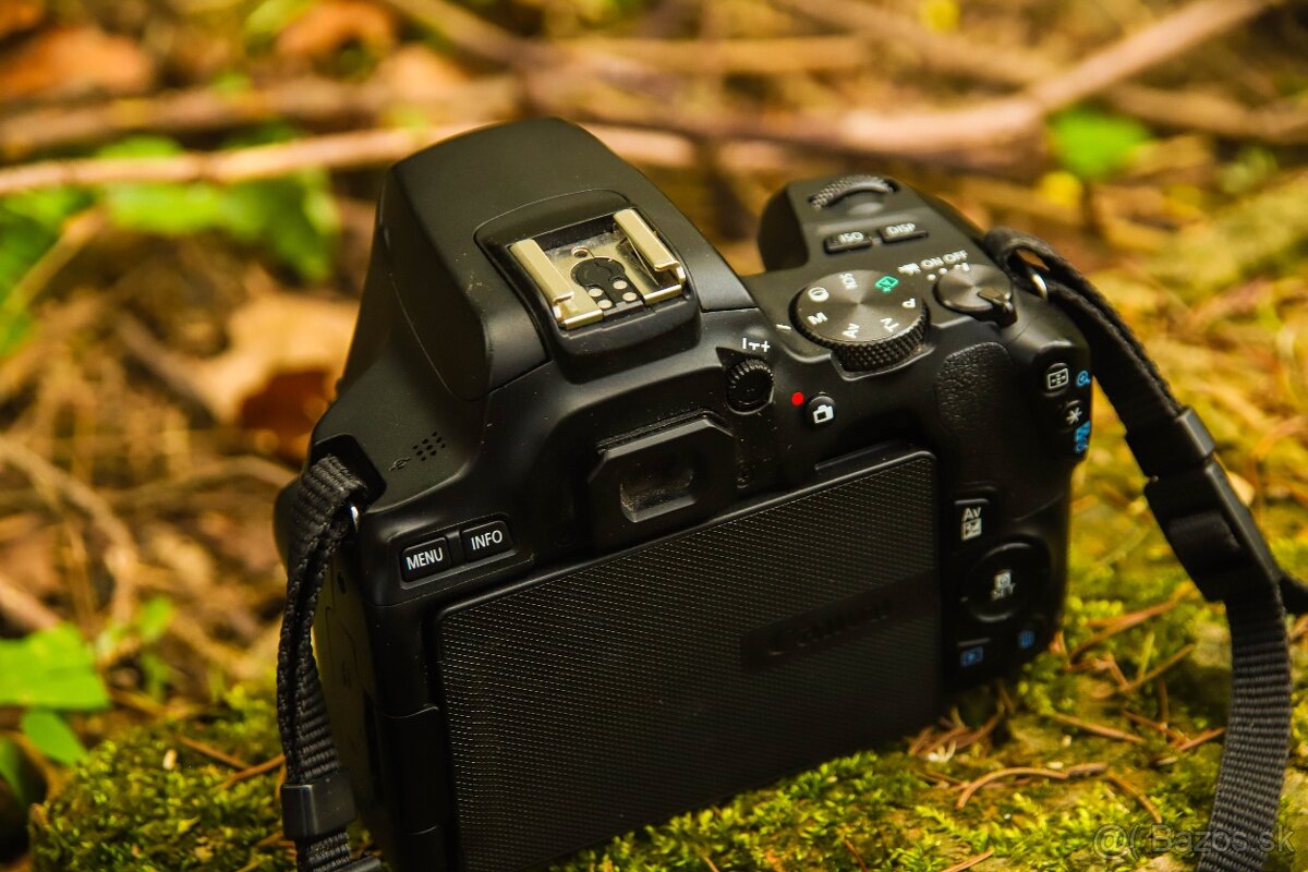 Canon eos 250D - 2