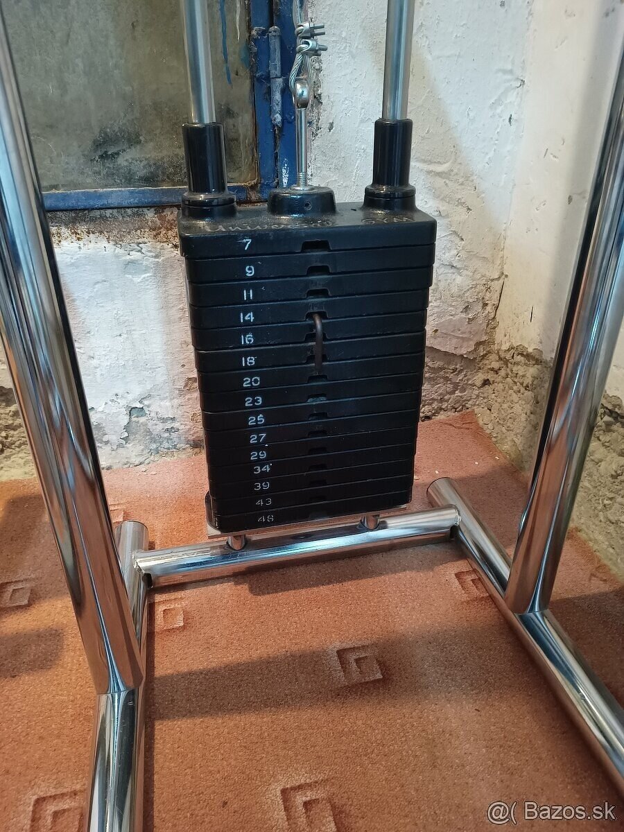 Tricepsový stroj - 2