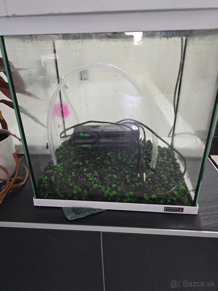 Predam malé akvárium s filtrom a osvetlenim - 2