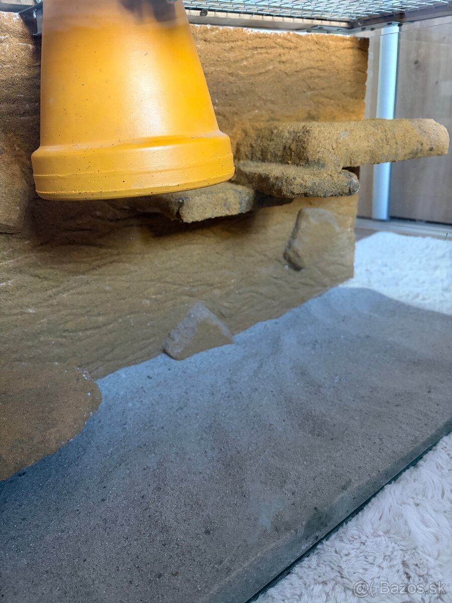 Terarium / akvarium - 2