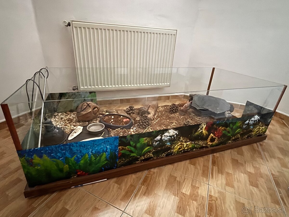Terárium - 2