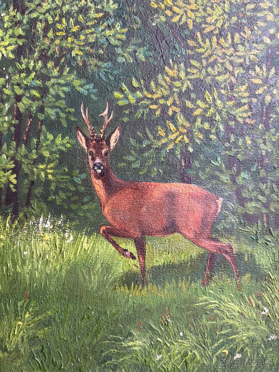 Obraz Jeleň v lese - 2