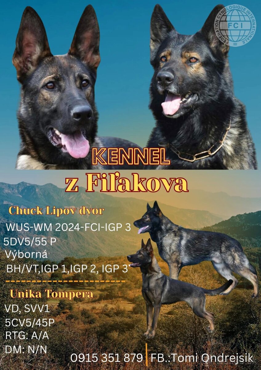 Nemecký ovčiak - 2