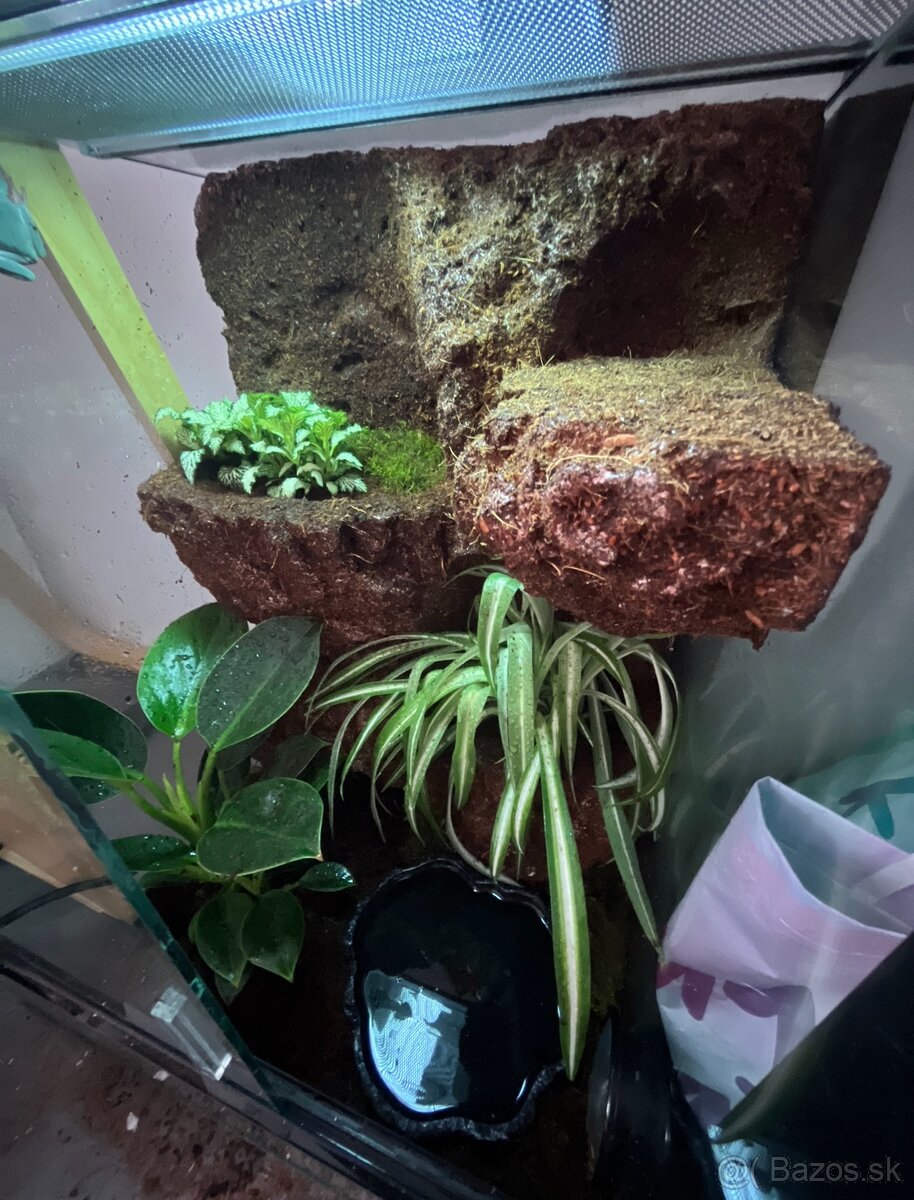 Terárium s 3D stenou - 2