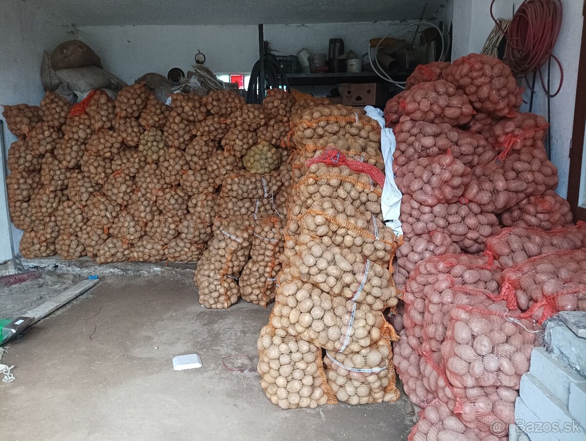 Predám zemiaky - 2