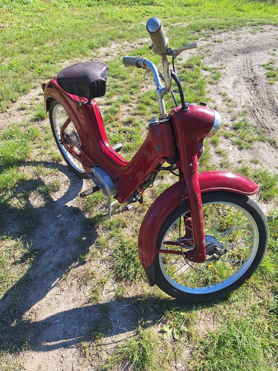 Jawetta 551 - 2