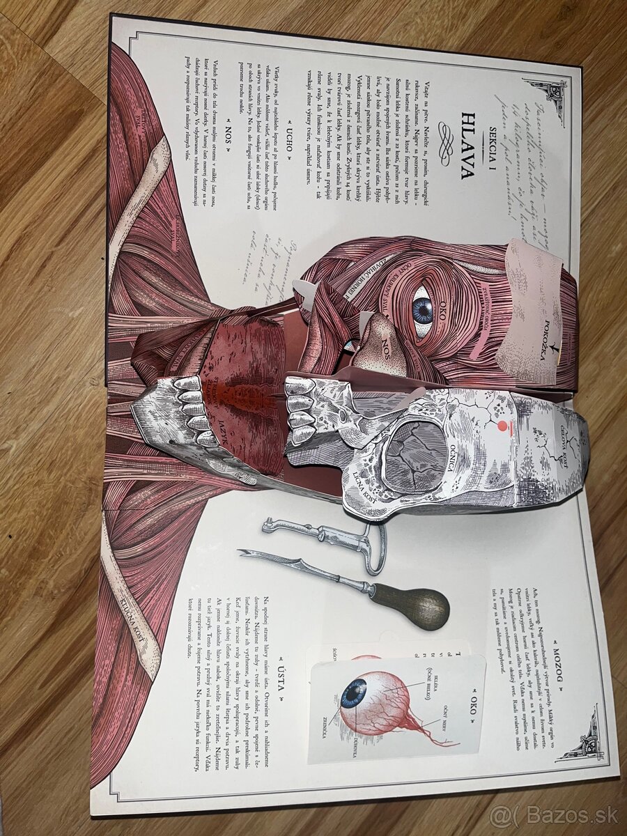 📘 Ľudské telo – 3D sprievodca anatómiou človeka - 2