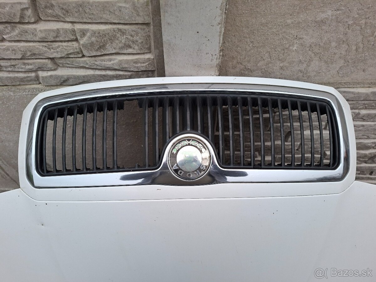 FABIA I PREDNA KAPOTA - 2