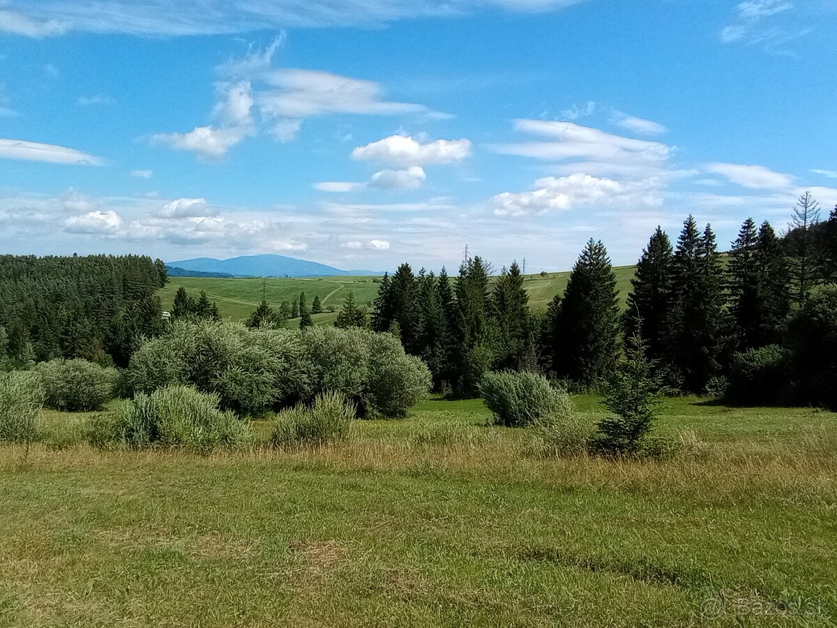 Orná pôda Lokca - 2