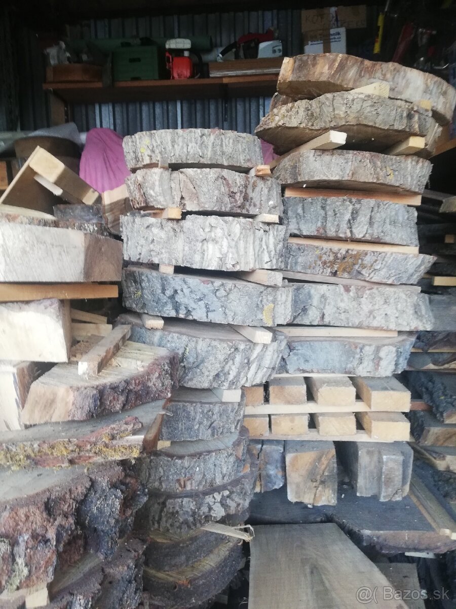 ORECHOVE DREVO, FOSNE. - 2