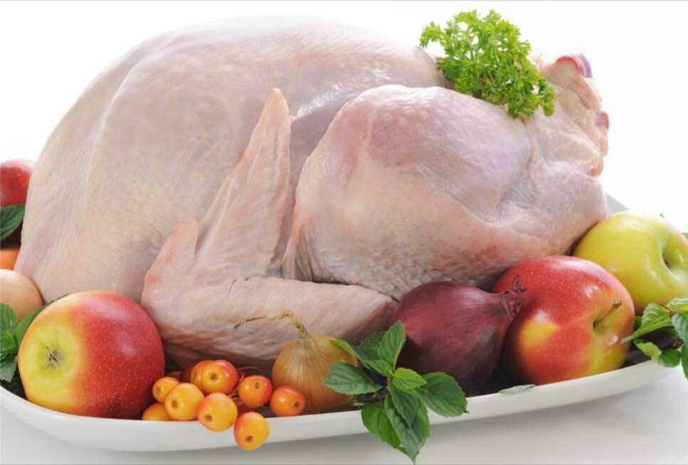 Predam morky ty co nestihli objednat - 2