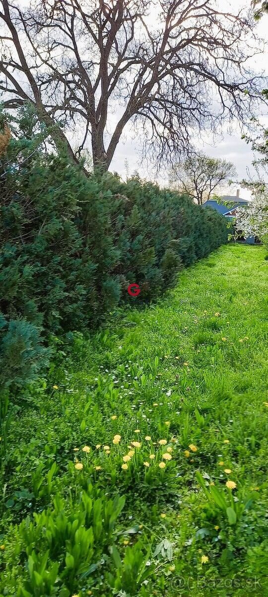 Na predaj stavebný pozemok, Komárovce – Sobrance - 2