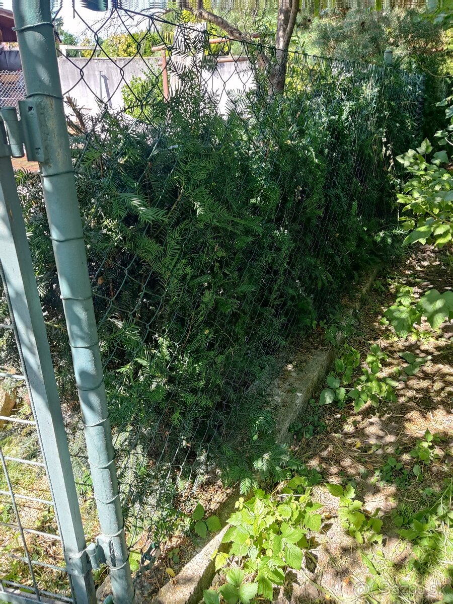 Fe trubky na ohradu,alu plech - 2