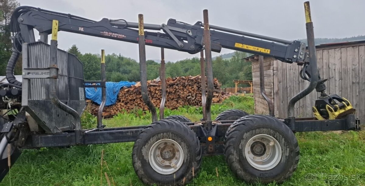 Vyvozka palms 10 d - 2