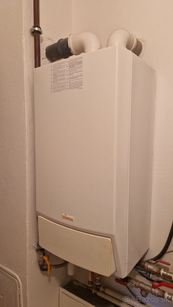 Predam Immergas victrix - 2