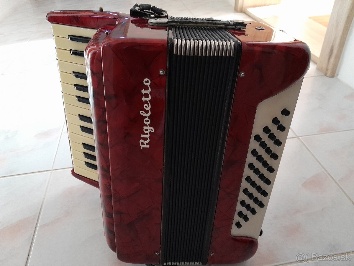 Harmonika heligonka Lignatone Rioletto - 2