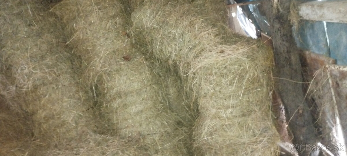 Lúčne seno - 2